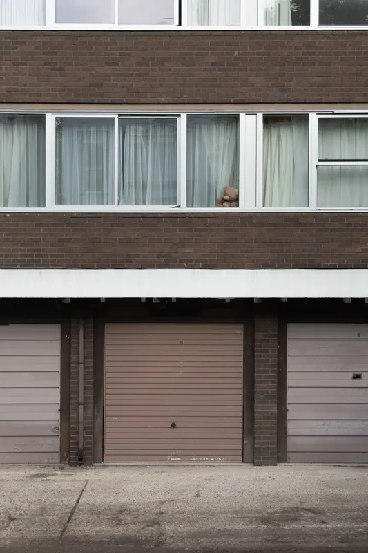 Teddy bear, Belsize Park. 2024.